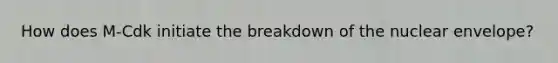 How does M-Cdk initiate the breakdown of the nuclear envelope?