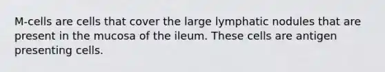 M-cells are cells that cover the large lymphatic nodules that are present in the mucosa of the ileum. These cells are antigen presenting cells.