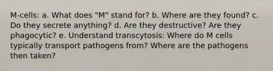 M-cells: a. What does "M" stand for? b. Where are they found? c. Do they secrete anything? d. Are they destructive? Are they phagocytic? e. Understand transcytosis: Where do M cells typically transport pathogens from? Where are the pathogens then taken?