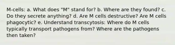 M-cells: a. What does "M" stand for? b. Where are they found? c. Do they secrete anything? d. Are M cells destructive? Are M cells phagocytic? e. Understand transcytosis: Where do M cells typically transport pathogens from? Where are the pathogens then taken?