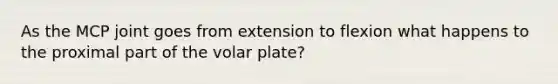 As the MCP joint goes from extension to flexion what happens to the proximal part of the volar plate?