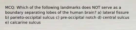 MCQ: Which of the following landmarks does NOT serve as a boundary separating lobes of the human brain? a) lateral fissure b) parieto-occipital sulcus c) pre-occipital notch d) central sulcus e) calcarine sulcus