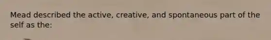 Mead described the active, creative, and spontaneous part of the self as the: