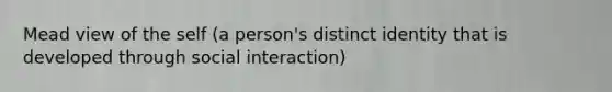 Mead view of the self (a person's distinct identity that is developed through social interaction)