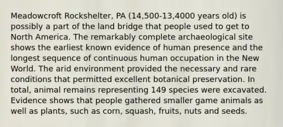 Meadowcroft Rockshelter, PA (14,500-13,4000 years old) is possibly a part of the land bridge that people used to get to North America. The remarkably complete archaeological site shows the earliest known evidence of human presence and the longest sequence of continuous human occupation in the New World. The arid environment provided the necessary and rare conditions that permitted excellent botanical preservation. In total, animal remains representing 149 species were excavated. Evidence shows that people gathered smaller game animals as well as plants, such as corn, squash, fruits, nuts and seeds.