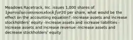 Meadows Racetrack, Inc. issues 1,000 shares of 1 par value common stock for20 per share, what would be the effect on the accounting equation? -Increase assets and increase stockholders' equity -Increase assets and increase liabilities -Increase assets and increase revenue -Increase assets and decrease stockholders' equity