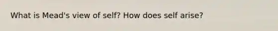 What is Mead's view of self? How does self arise?