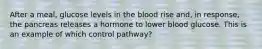 After a meal, glucose levels in the blood rise and, in response, the pancreas releases a hormone to lower blood glucose. This is an example of which control pathway?