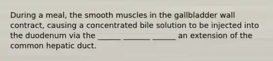 During a meal, the smooth muscles in the gallbladder wall contract, causing a concentrated bile solution to be injected into the duodenum via the ______ _______ ______ an extension of the common hepatic duct.