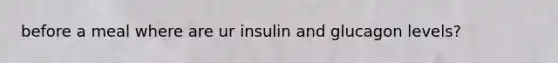 before a meal where are ur insulin and glucagon levels?