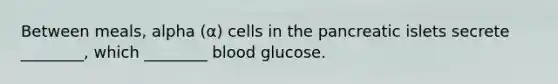 Between meals, alpha (α) cells in the pancreatic islets secrete ________, which ________ blood glucose.