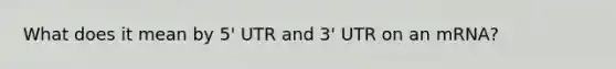 What does it mean by 5' UTR and 3' UTR on an mRNA?