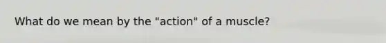 What do we mean by the "action" of a muscle?