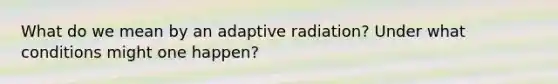 What do we mean by an adaptive radiation? Under what conditions might one happen?