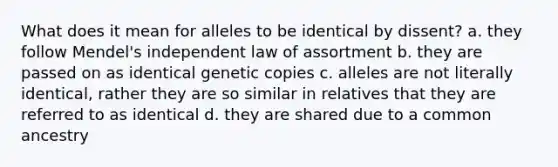 What does it mean for alleles to be identical by dissent? a. they follow Mendel's independent law of assortment b. they are passed on as identical genetic copies c. alleles are not literally identical, rather they are so similar in relatives that they are referred to as identical d. they are shared due to a common ancestry