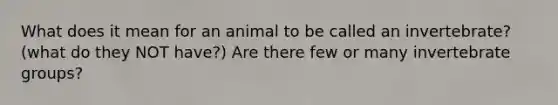 What does it mean for an animal to be called an invertebrate? (what do they NOT have?) Are there few or many invertebrate groups?