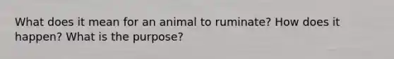 What does it mean for an animal to ruminate? How does it happen? What is the purpose?