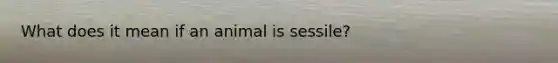 What does it mean if an animal is sessile?