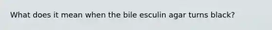 What does it mean when the bile esculin agar turns black?