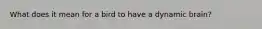 What does it mean for a bird to have a dynamic brain?