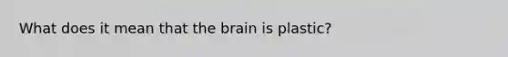 What does it mean that the brain is plastic?