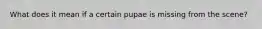 What does it mean if a certain pupae is missing from the scene?