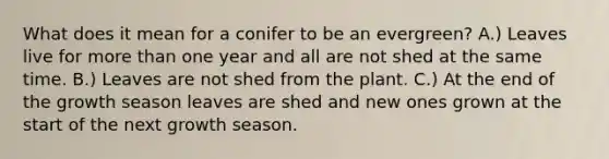 What does it mean for a conifer to be an evergreen? A.) Leaves live for more than one year and all are not shed at the same time. B.) Leaves are not shed from the plant. C.) At the end of the growth season leaves are shed and new ones grown at the start of the next growth season.