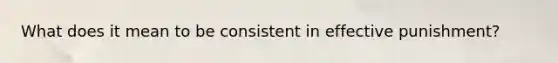 What does it mean to be consistent in effective punishment?