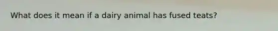 What does it mean if a dairy animal has fused teats?