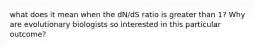 what does it mean when the dN/dS ratio is greater than 1? Why are evolutionary biologists so interested in this particular outcome?