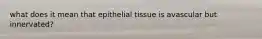 what does it mean that epithelial tissue is avascular but innervated?