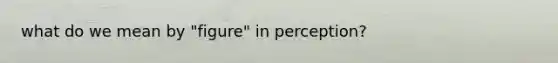 what do we mean by "figure" in perception?