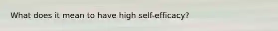 What does it mean to have high self-efficacy?