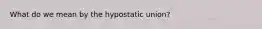 What do we mean by the hypostatic union?