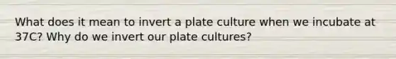 What does it mean to invert a plate culture when we incubate at 37C? Why do we invert our plate cultures?