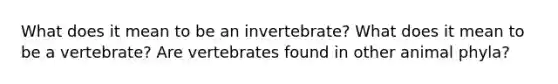 What does it mean to be an invertebrate? What does it mean to be a vertebrate? Are vertebrates found in other animal phyla?