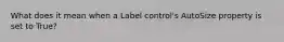 What does it mean when a Label control's AutoSize property is set to True?