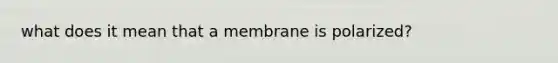 what does it mean that a membrane is polarized?