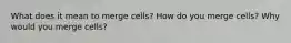 What does it mean to merge cells? How do you merge cells? Why would you merge cells?