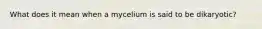 What does it mean when a mycelium is said to be dikaryotic?