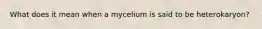 What does it mean when a mycelium is said to be heterokaryon?