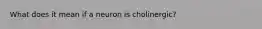 What does it mean if a neuron is cholinergic?
