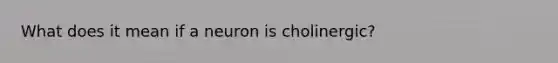 What does it mean if a neuron is cholinergic?