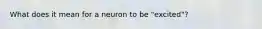What does it mean for a neuron to be "excited"?
