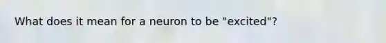 What does it mean for a neuron to be "excited"?