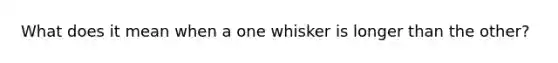 What does it mean when a one whisker is longer than the other?