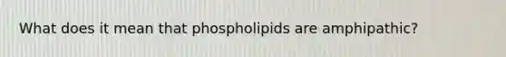 What does it mean that phospholipids are amphipathic?