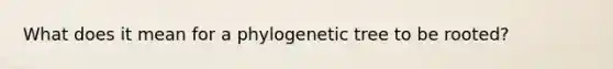 What does it mean for a phylogenetic tree to be rooted?