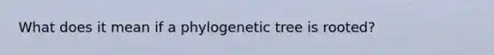 What does it mean if a phylogenetic tree is rooted?