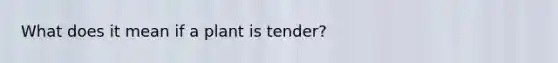 What does it mean if a plant is tender?